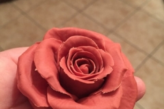 Rosa in porcellana fredda